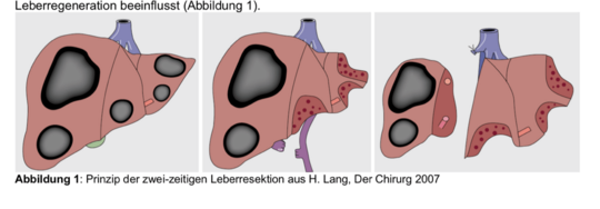 1-Wiegering-2020